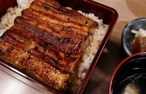 Teriyaki eel